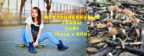 ешки Архангельск