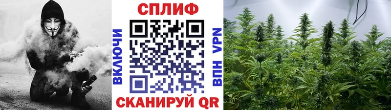 купить наркотики цена  Уссурийск  Бошки Шишки марихуана 
